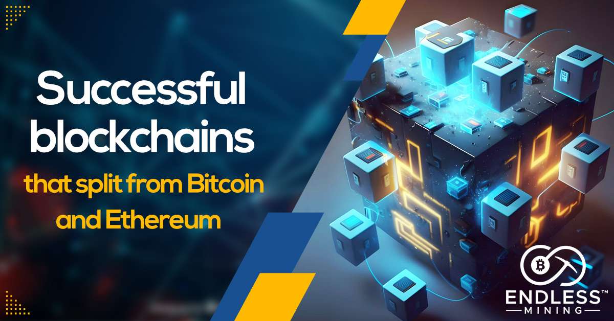 successful-blockchains-that-split-from-bitcoin-and-ethereum