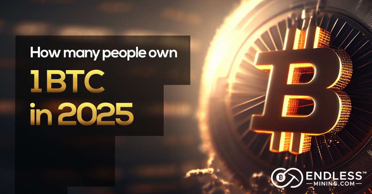how-many-people-own-1-btc-in-2025